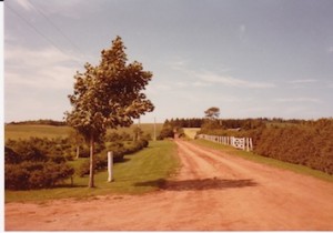 A red Island road, PEI, August 1982